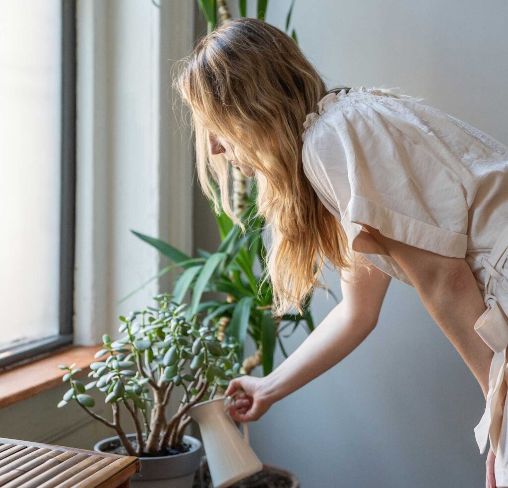 A woman with blonde hair and a work apron cares for plants in an office setting in Fairbanks, Alaska